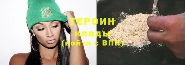гидра Вяземский