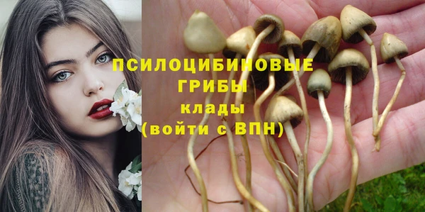 кокс Волосово